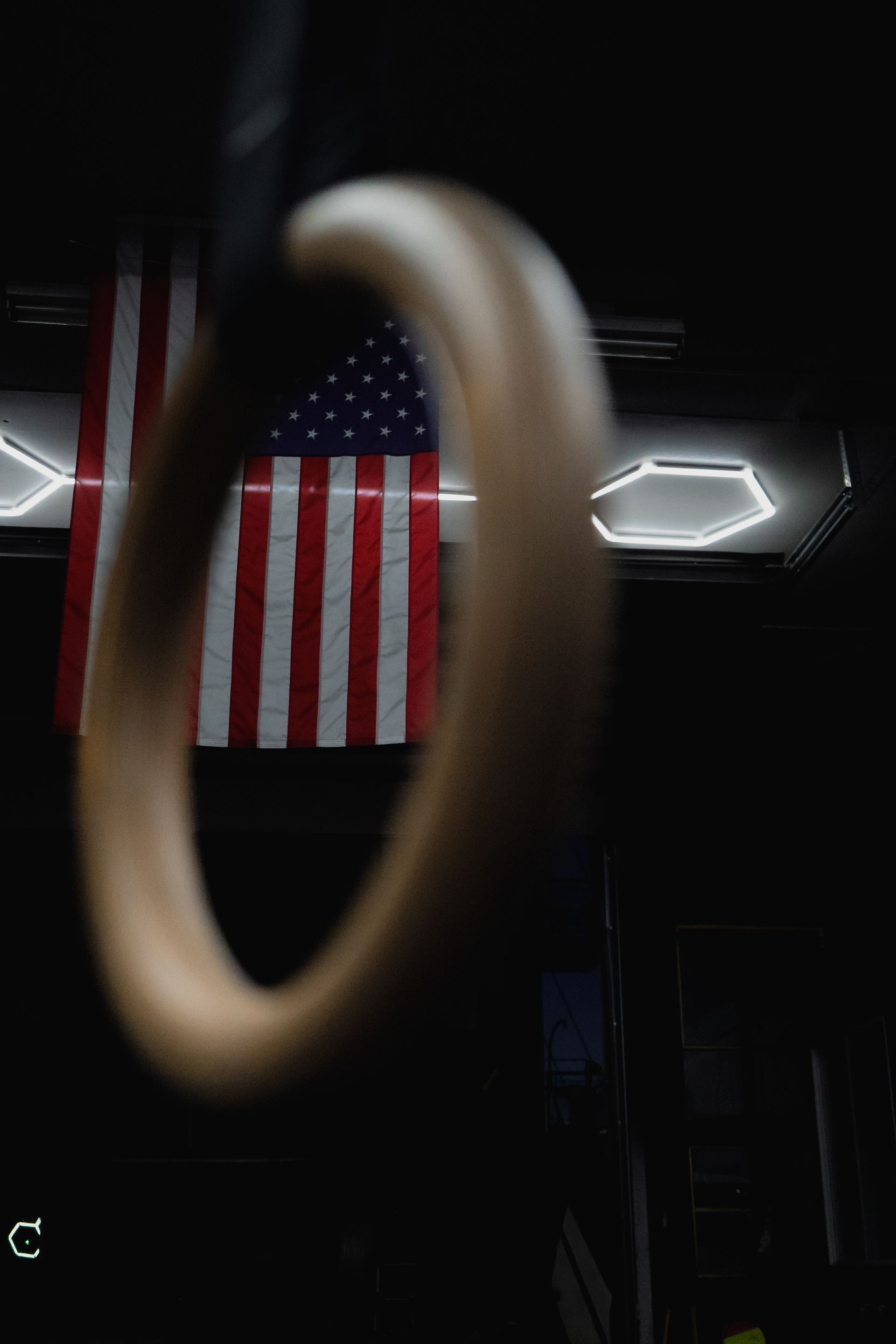 Blurred ring in foreground with a hanging American flag in a dim interior scene.