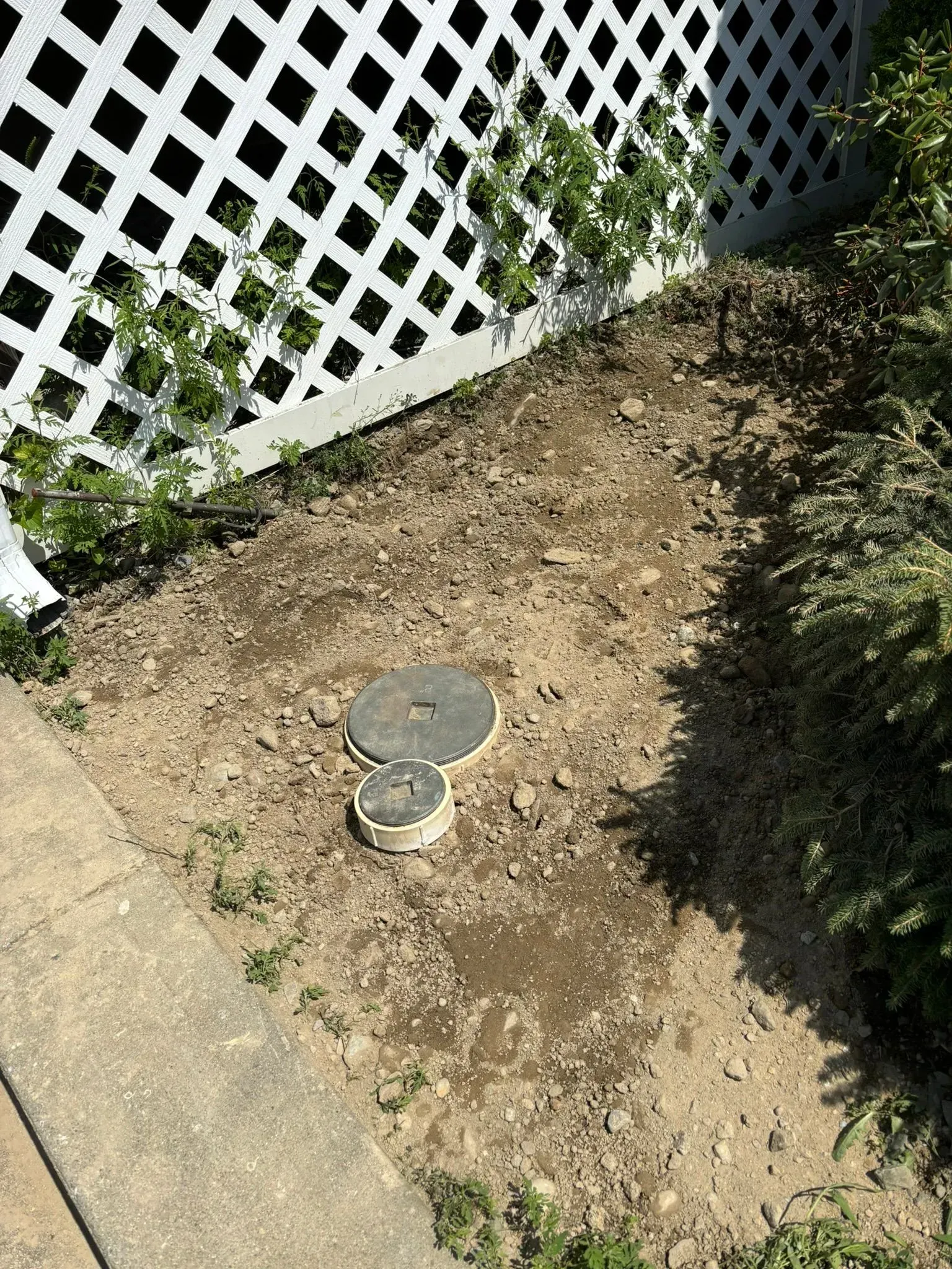 Dry yard corner with two round utility covers, a concrete path, and a white lattice fence.