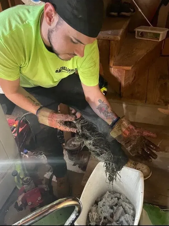 Man in neon shirt handling a black cat over a white bin indoors, with wet fur and debris around it