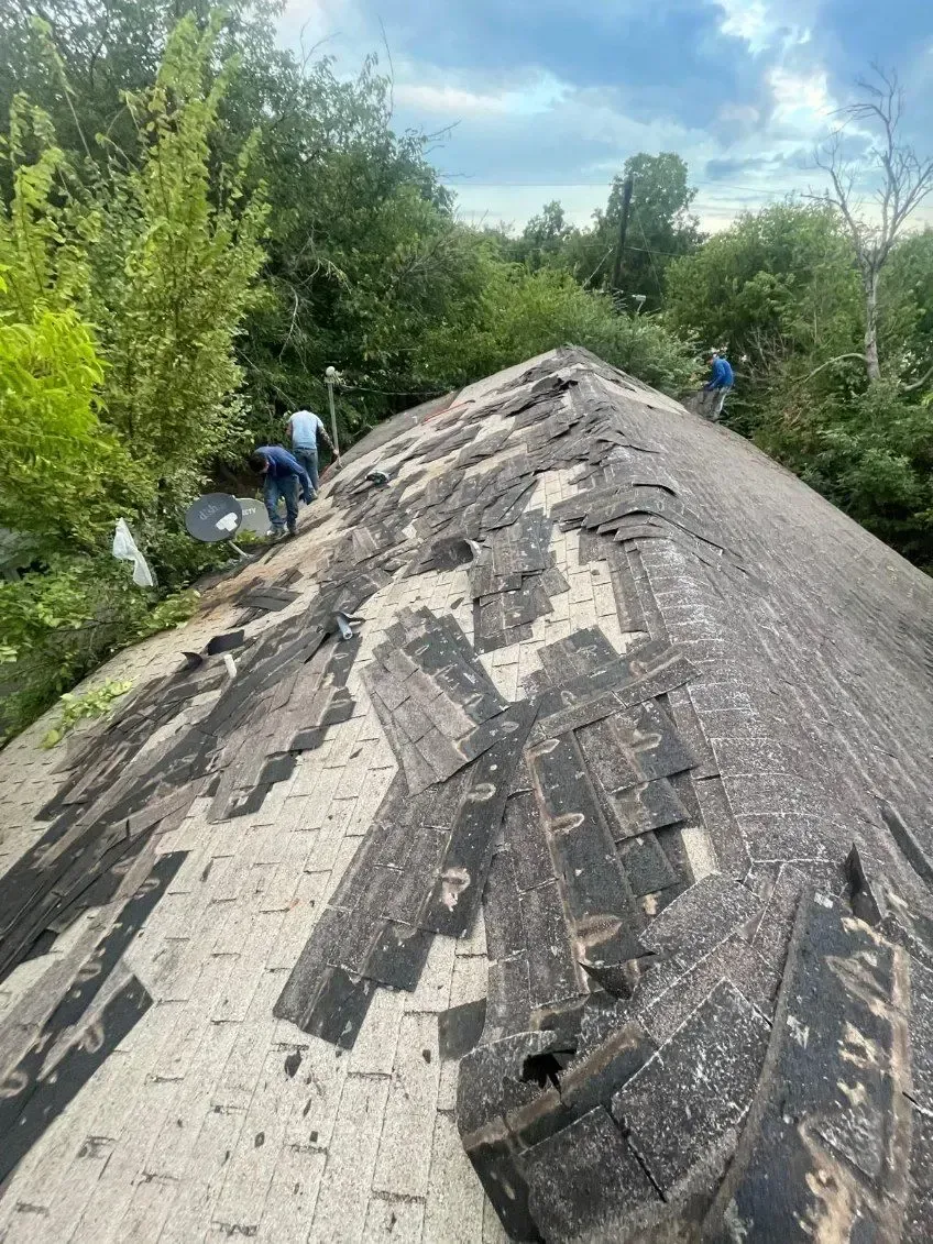 Workers on a roof, removing old shingles. Gray shingles and a green tree backdrop.