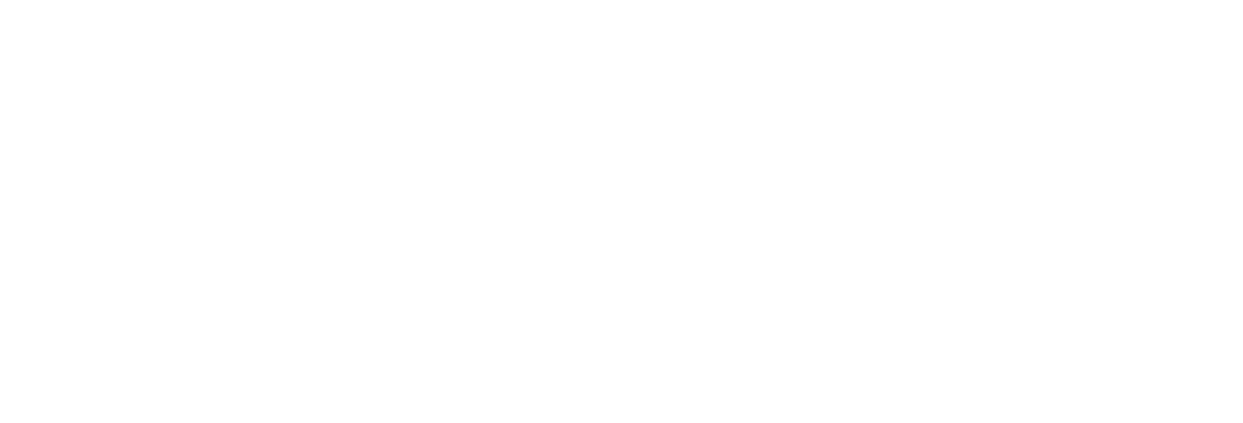 Logo IRS