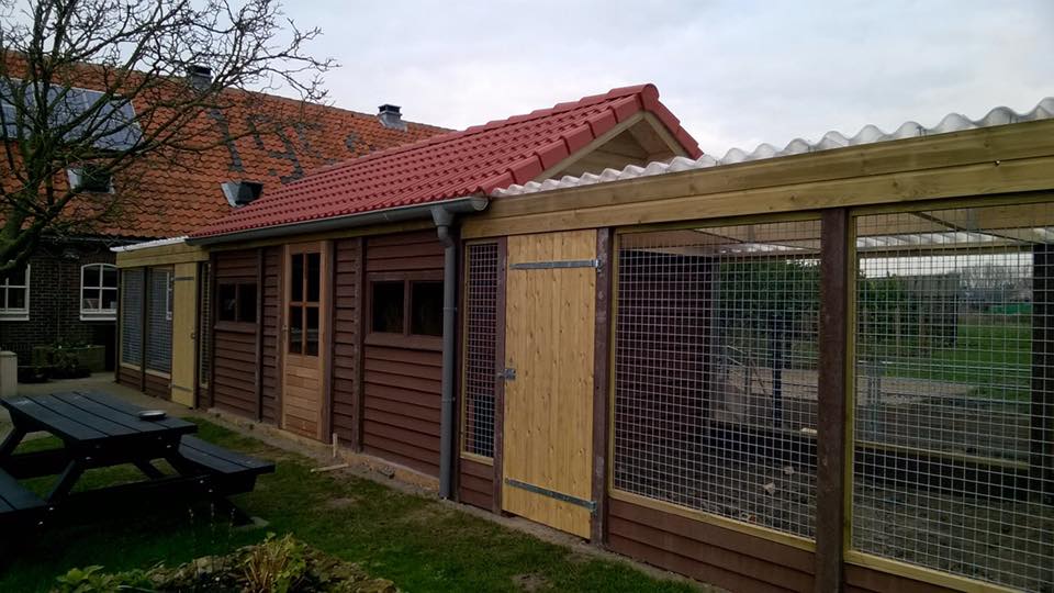 Ruim dierenverblijf met houten constructie en gaaspanelen, maatwerk van A&B Betonbouw.