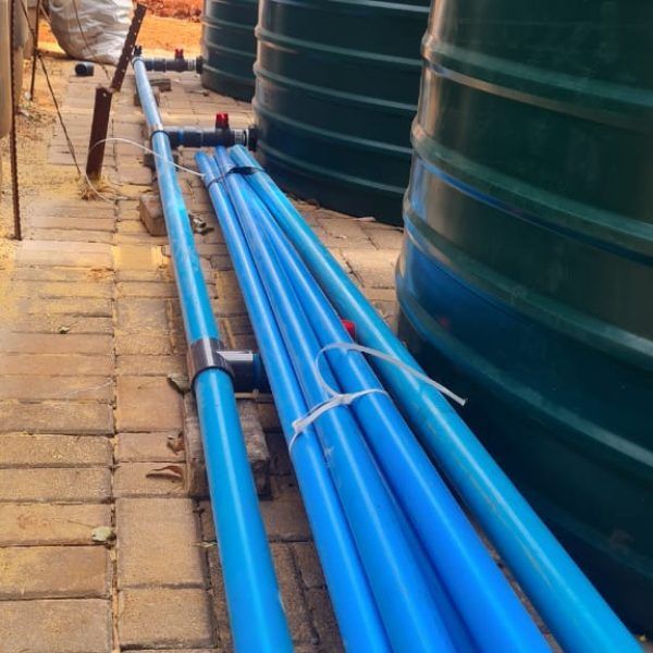 A bunch of blue pipes are lined up next to green tanks