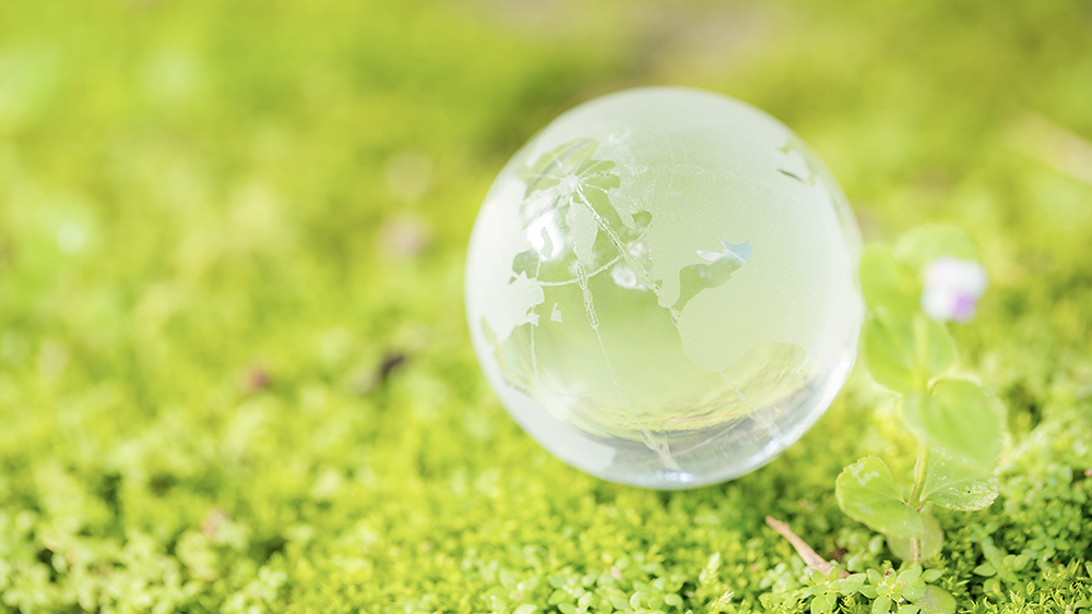 Climate Action