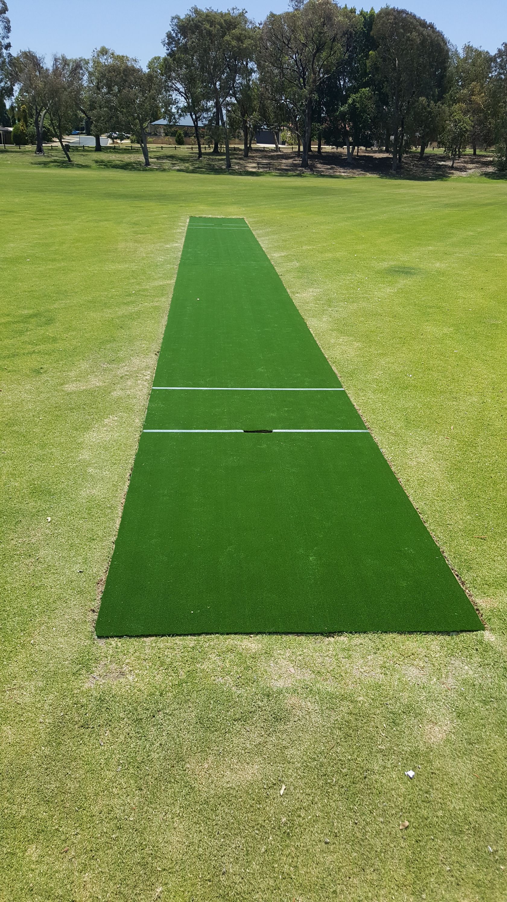 Cricket5