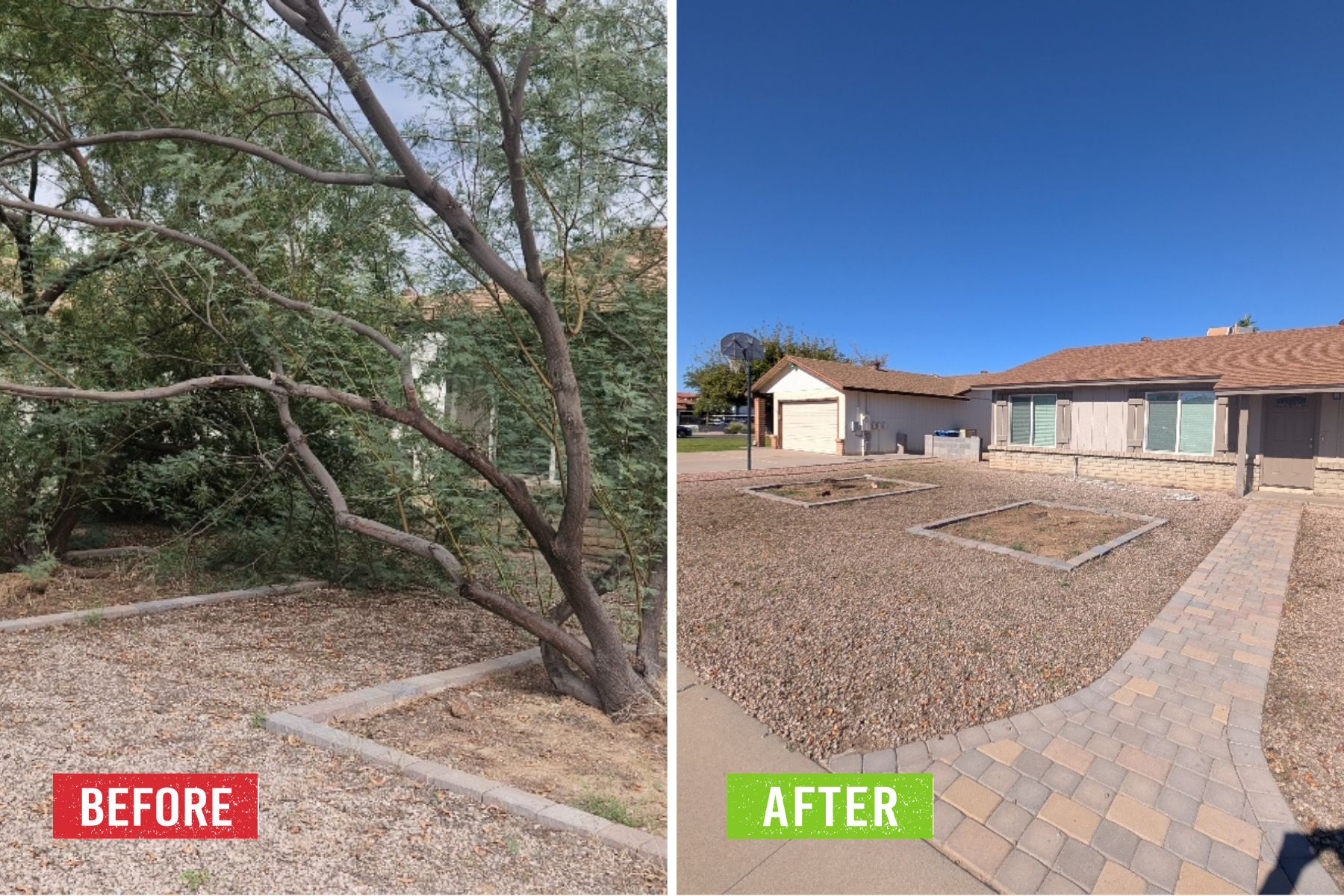 A before and after of tree removal.