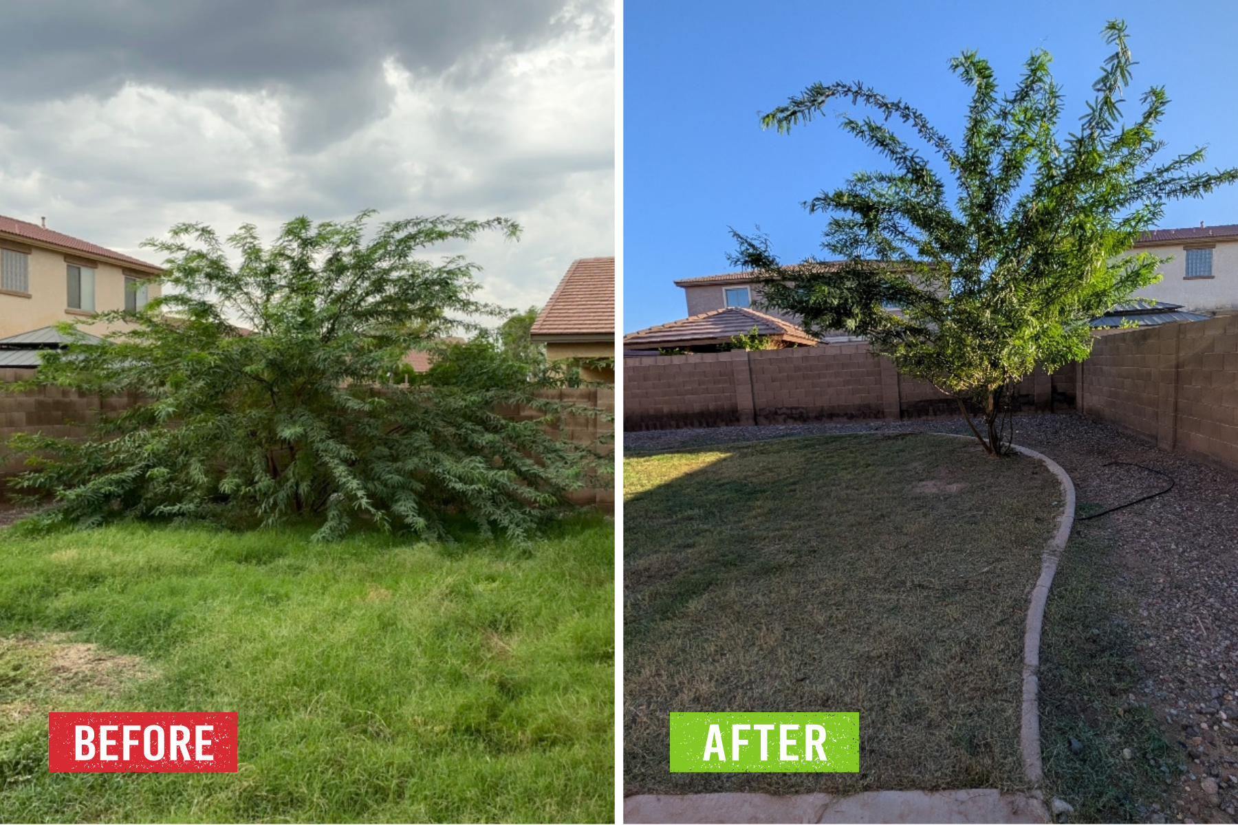 A before and after of fallen tree removal.