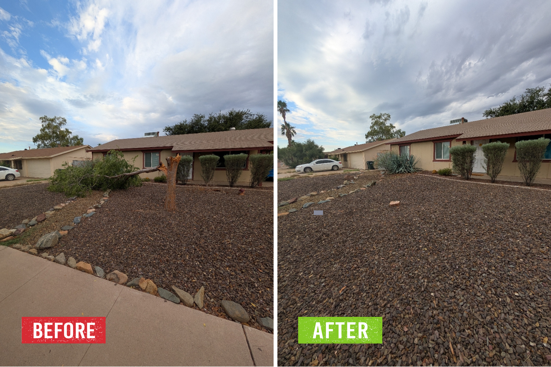 A before and after of tree removal.