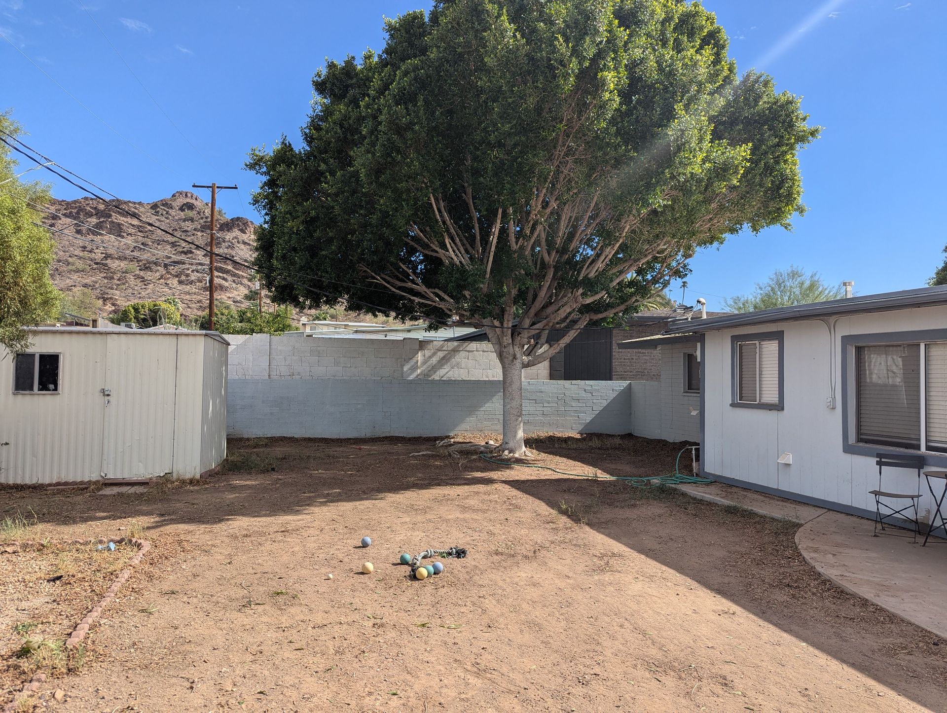 There is a tree in the middle of the backyard of a house.