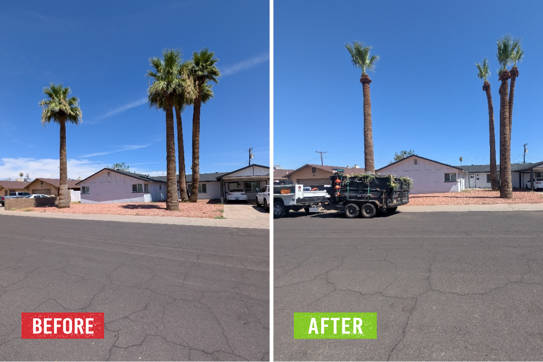 A before and after of tree removal.