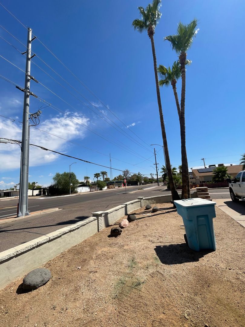A blue trash can sits on the side of a road next to palm trees