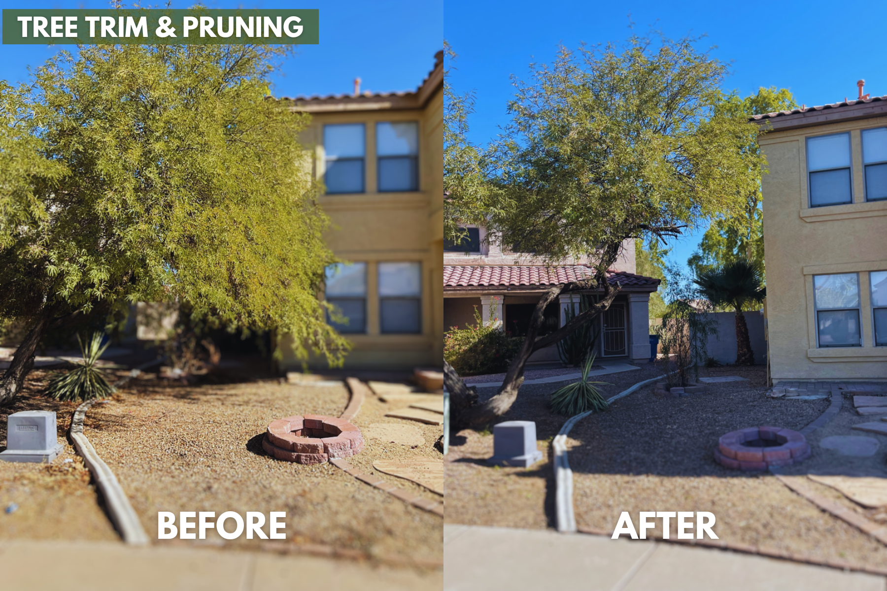 A before and after picture of a house that has been trimmed and pruned.