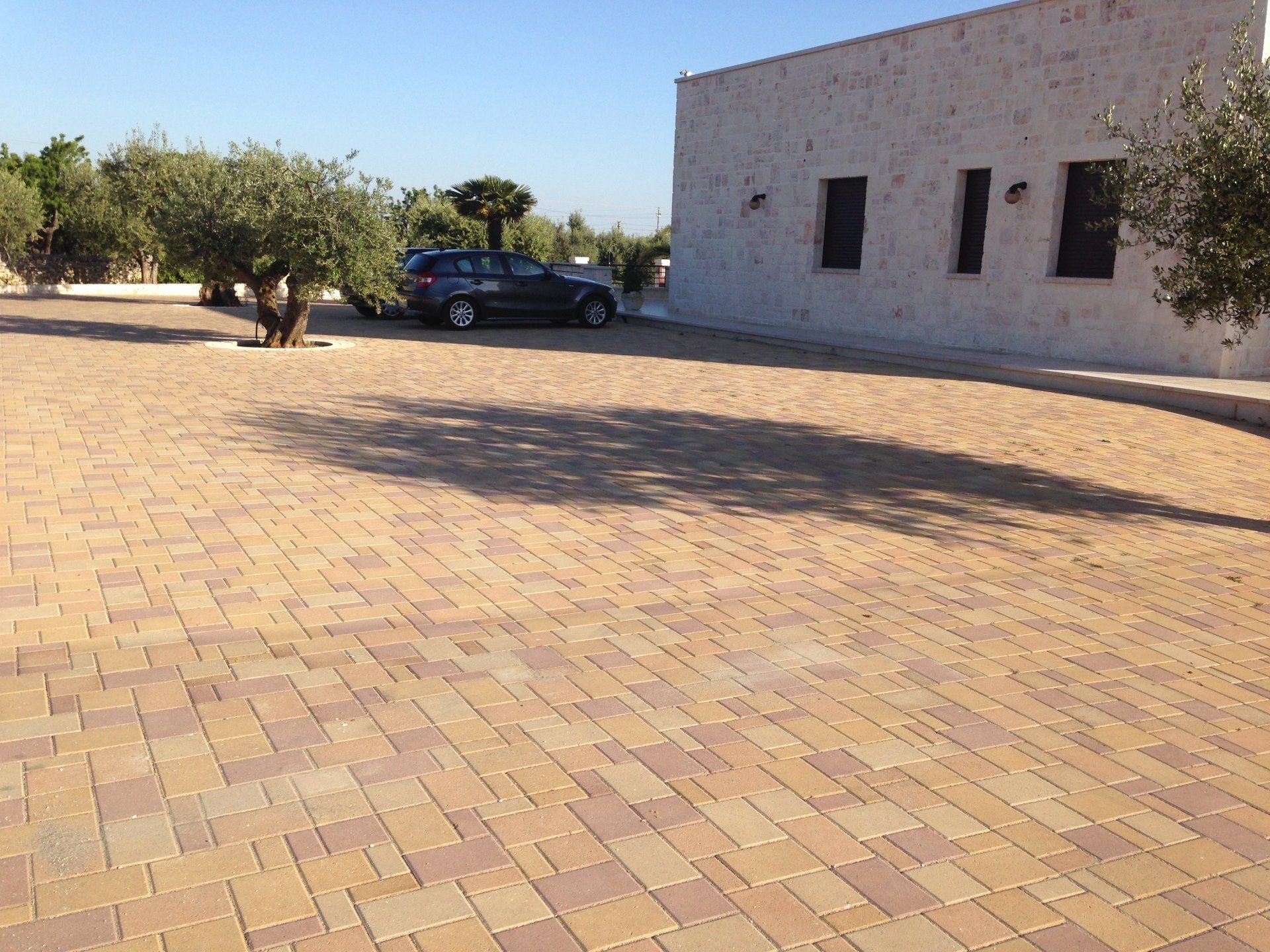 Vialetto lastricato in mattoni con auto parcheggiata e edificio; gli ulivi proiettano ombre sul marciapiede.