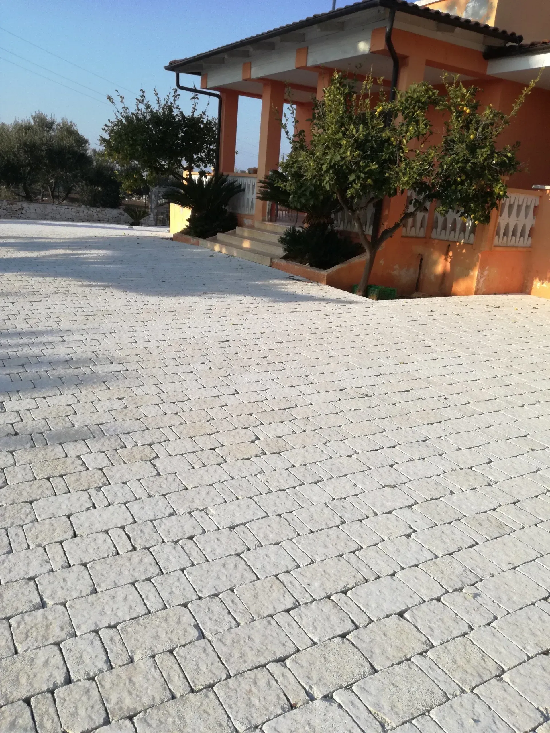 Vialetto asfaltato di fronte a un edificio color sabbia con veranda. Due piccoli alberi, giornata di sole.