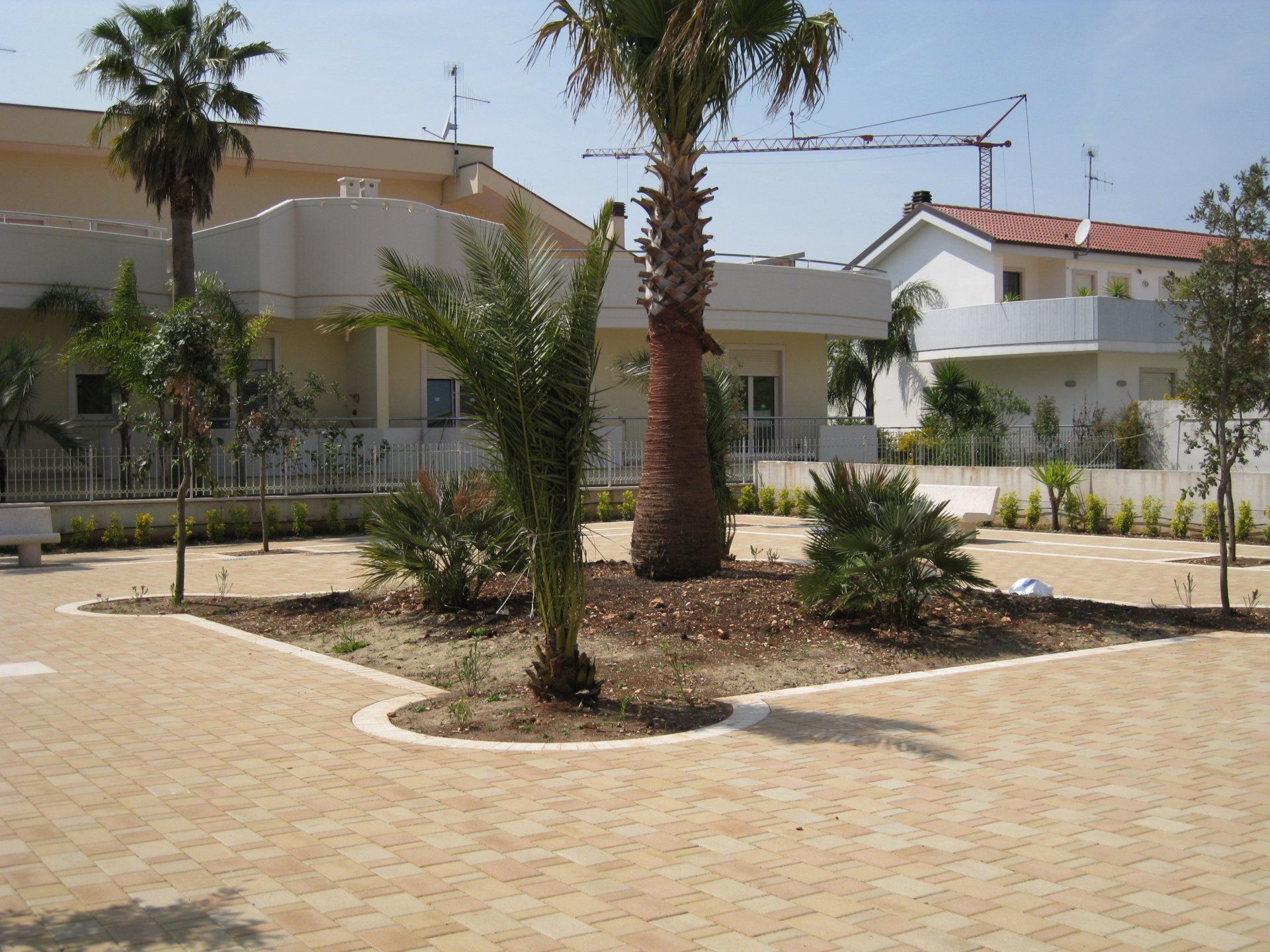 Palme e paesaggio in una piazza con mattoni chiari ed edifici moderni sullo sfondo.