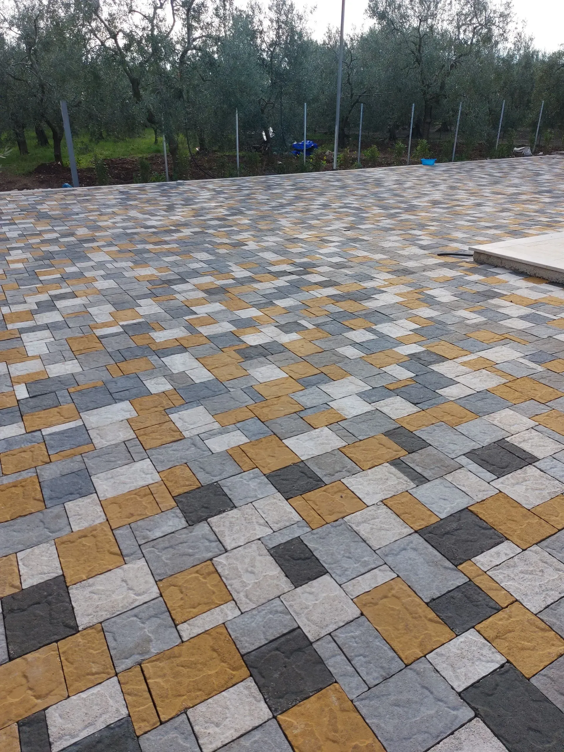 Patio in mattoni multicolori con alberi sullo sfondo.