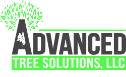 advanced tree solutions logo