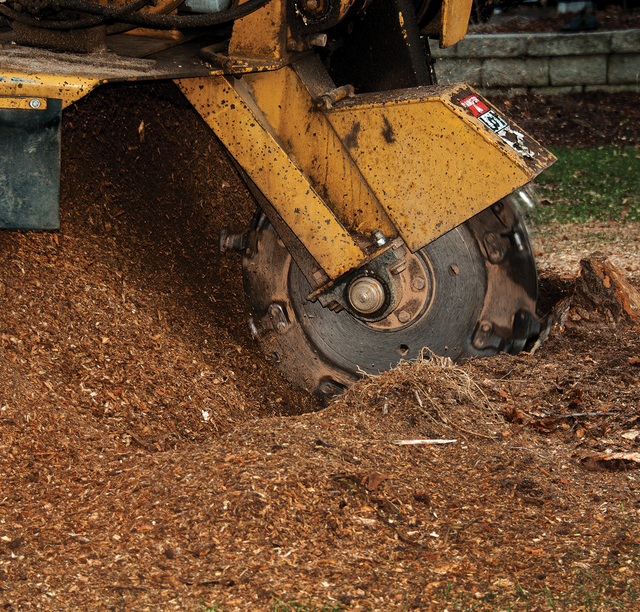 A yellow tractor is cutting a tree stump in the ground