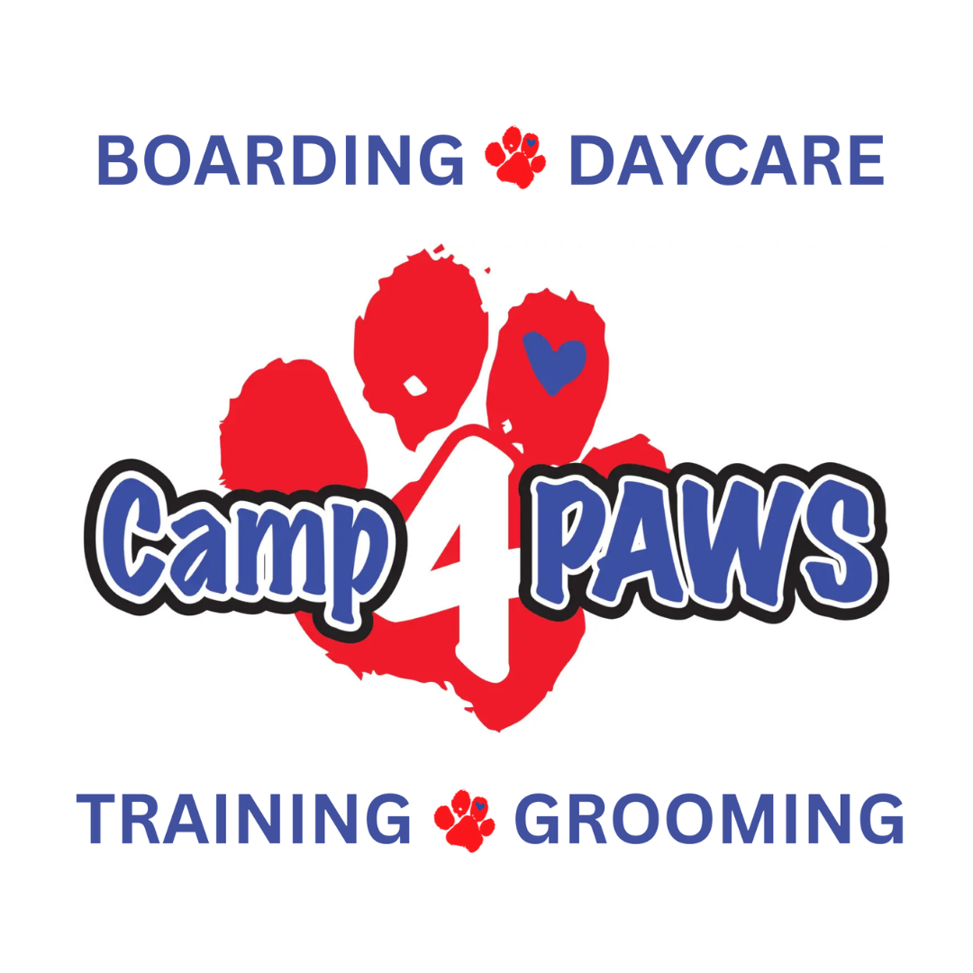 Camp 4 Paws