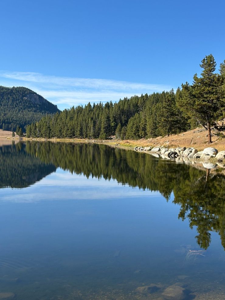 A calm lake mirrors a dense forest of pine trees under a clear, bright blue sky.