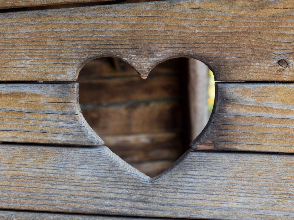 Risk Factors for Heart Disease