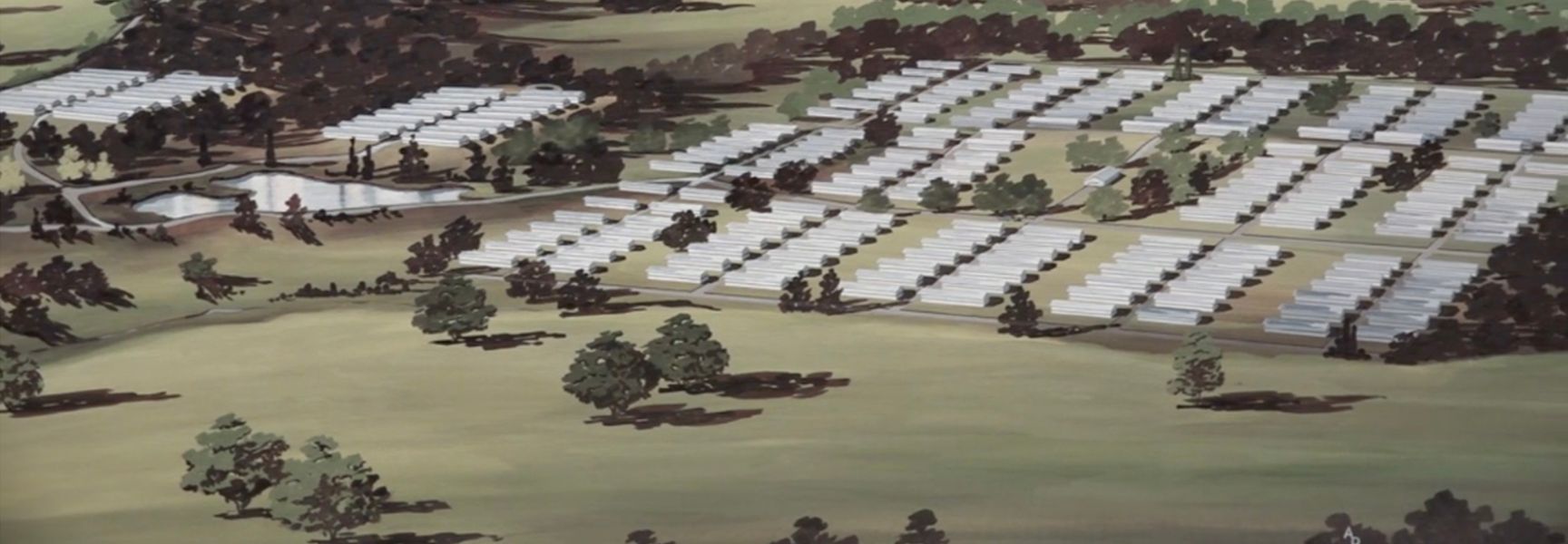 An aerial illustration of a large rural farm complex with multiple rows of white structures, surrounded by trees and small ponds.