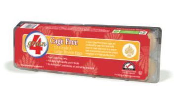 A carton of 12 4GRAIN® Cage Free eggs in a PET plastic carton.