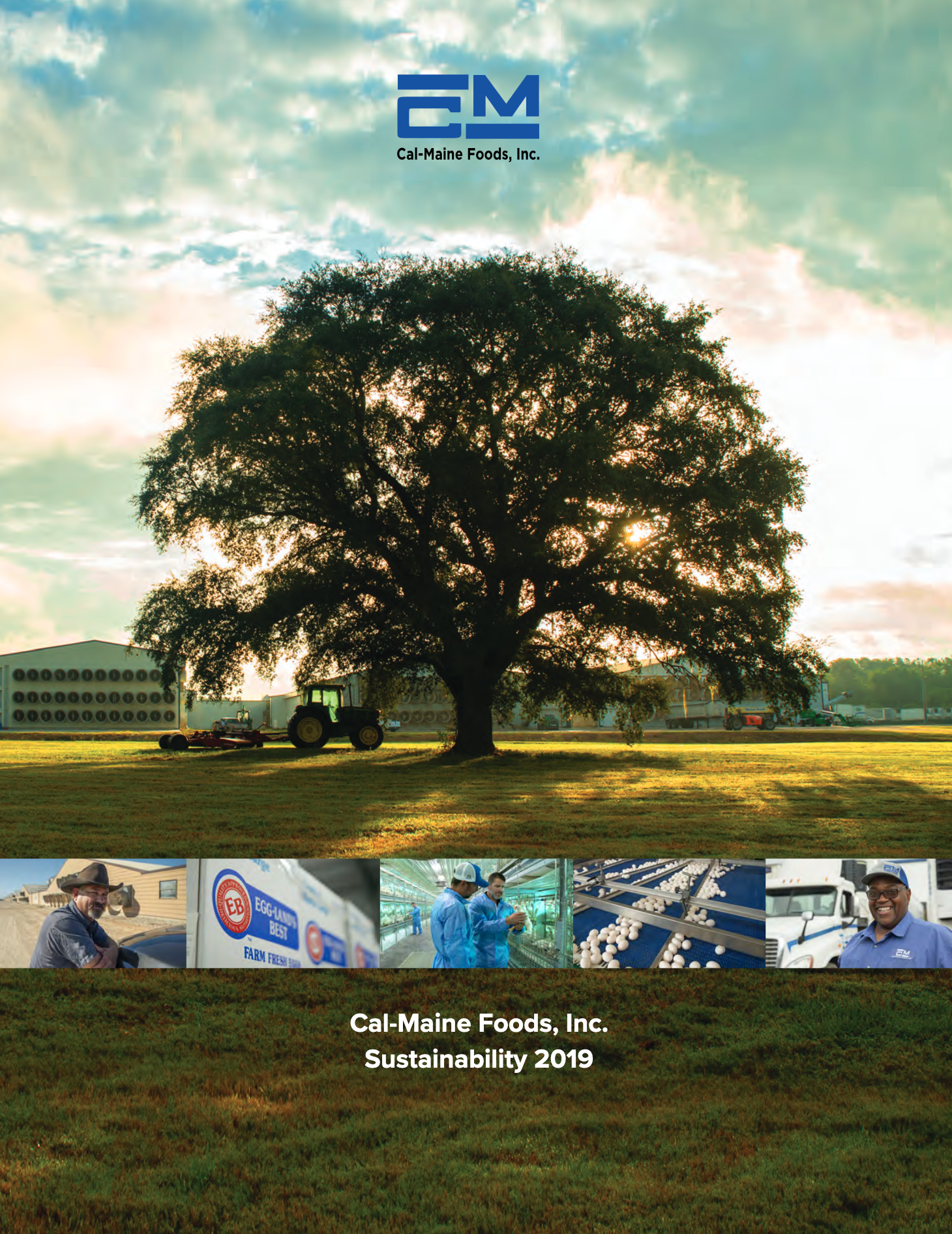Cover image of the Fiscal Year 2019 Cal-Maine Sustainability Report.