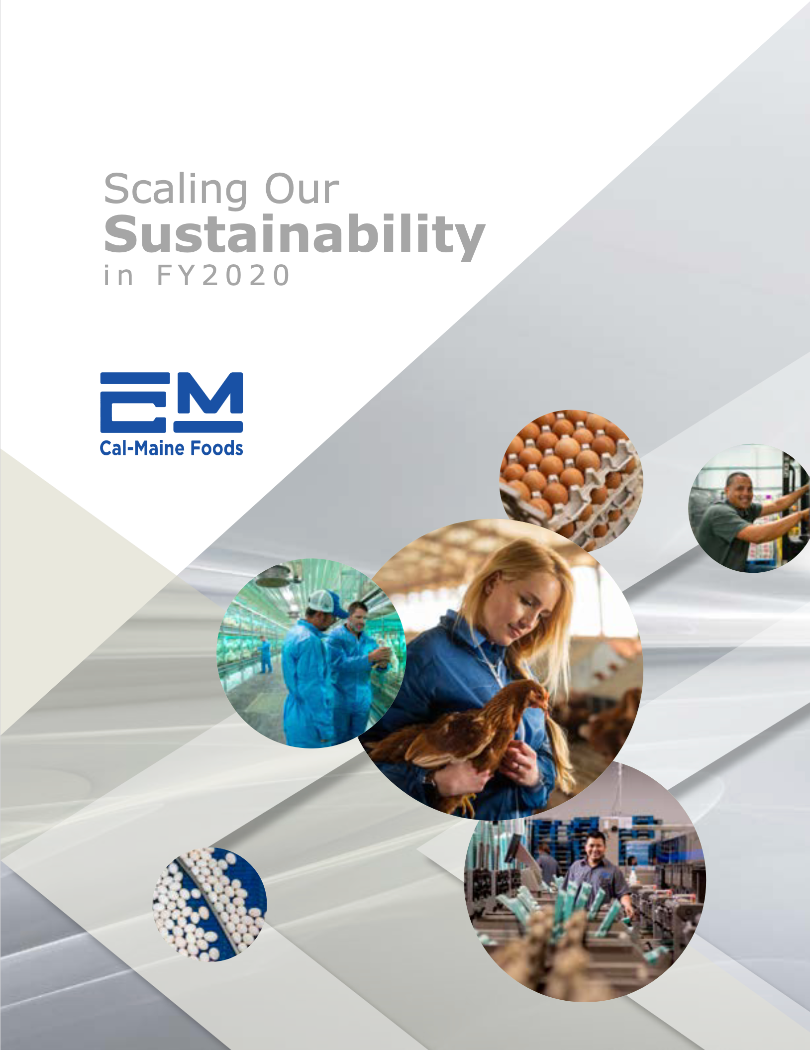 Cover image of the Fiscal Year 2020 Cal-Maine Sustainability Report.