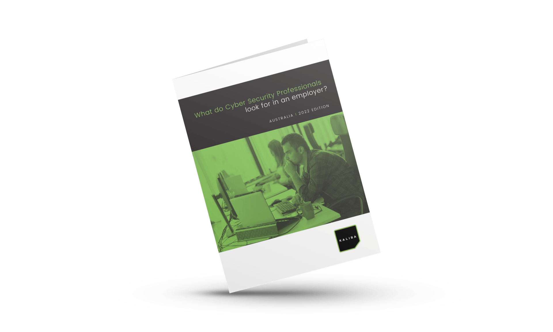 What do Cyber Secuity professionals look for in an employer?
