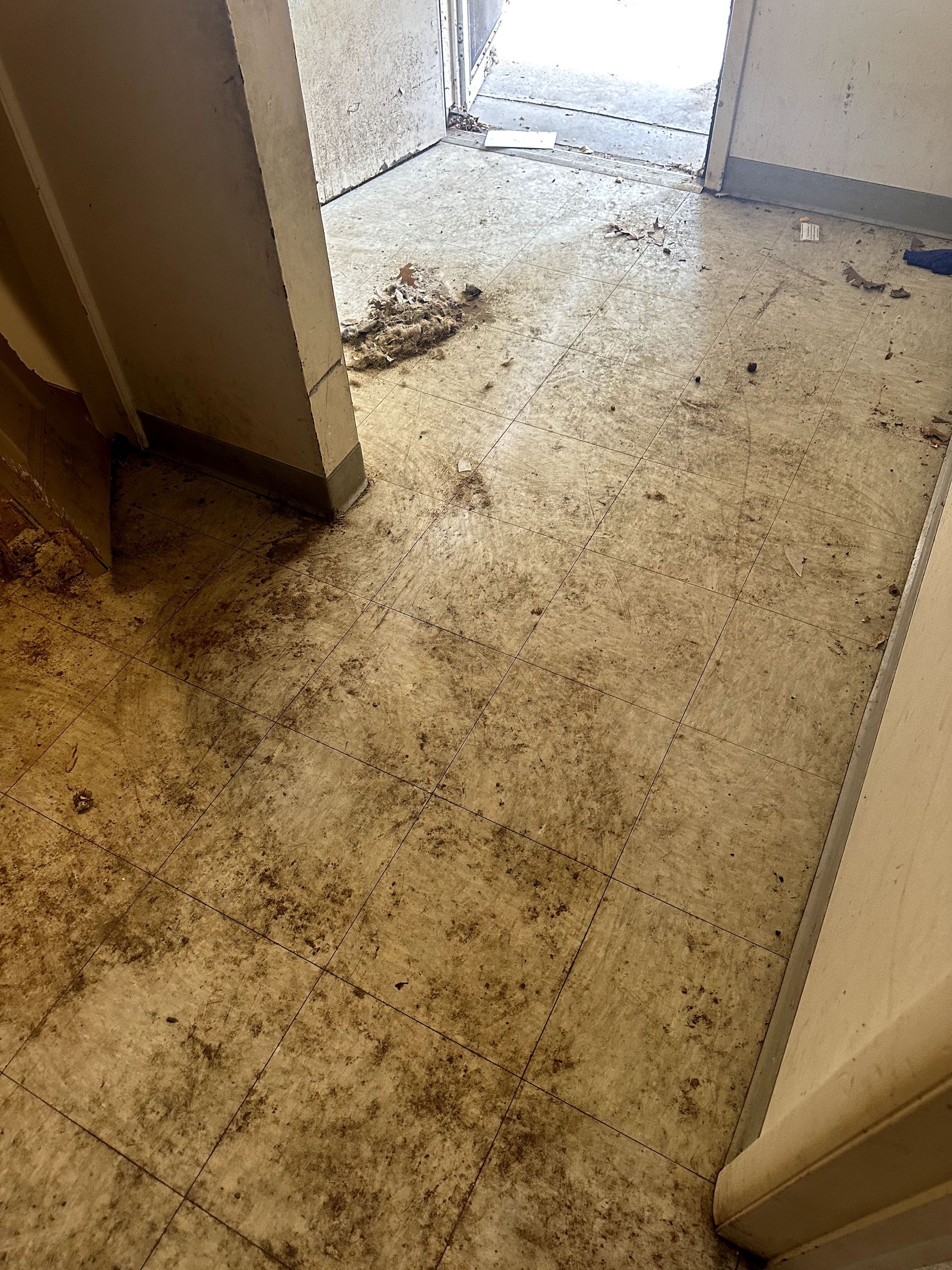 A before shot of a hoard cleanup in Pittsburgh, PA by Kingdom Bio Recovery & Restoration hard at work