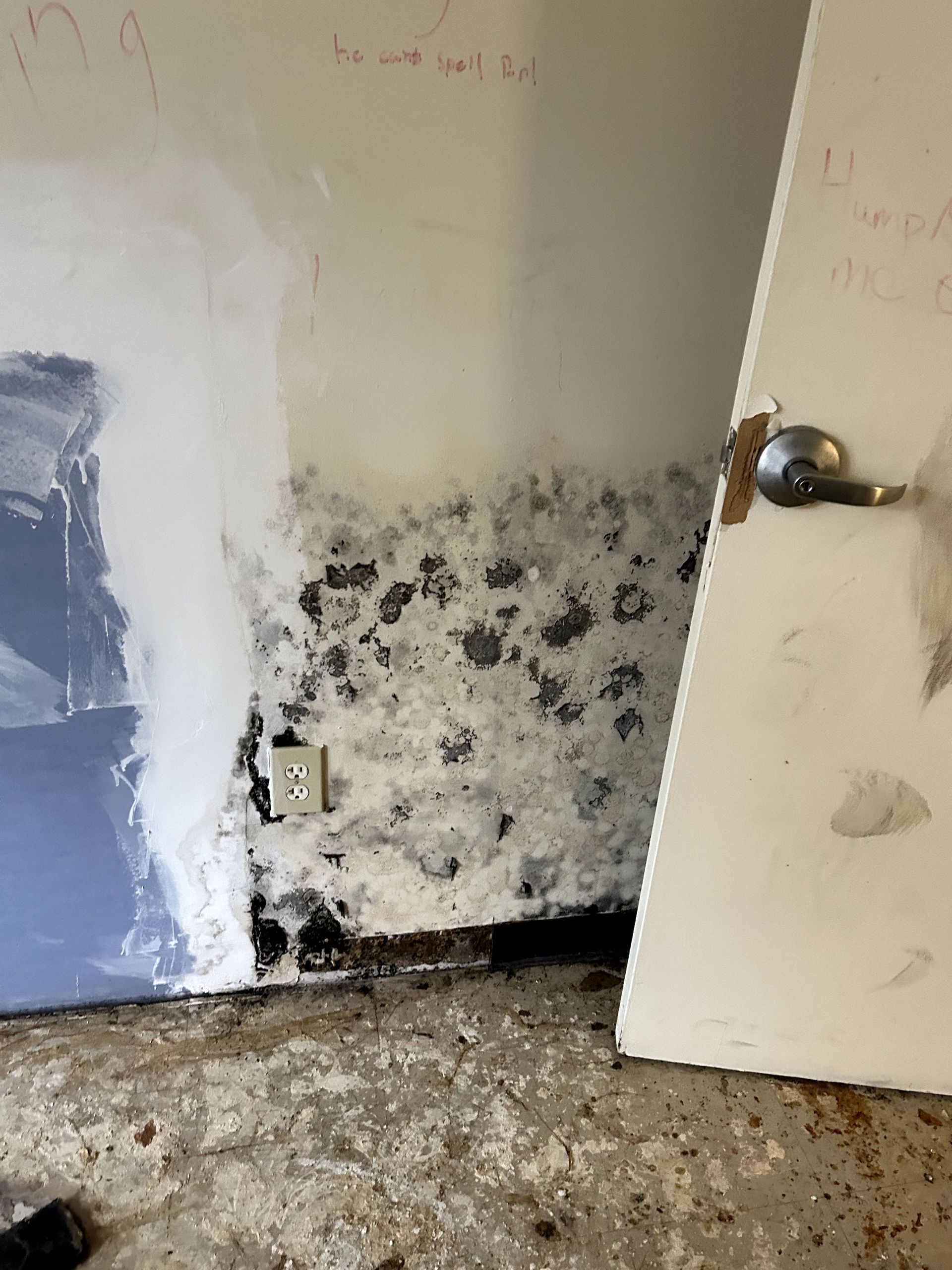 Mold growth on interior wall with electrical outlet, next to a door, in a room with a damaged floor.