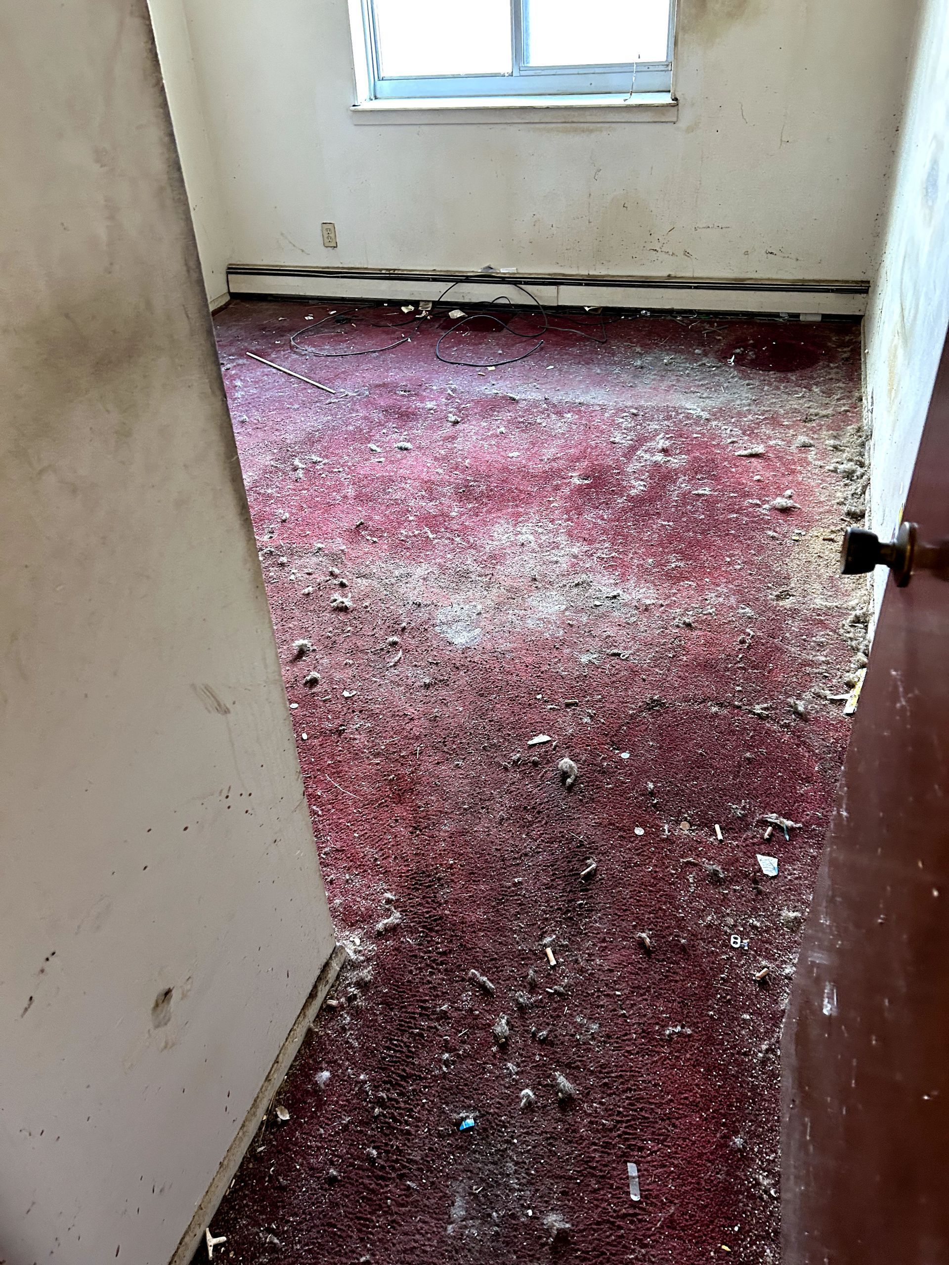 A before shot of a licensed and insured restoration in Ohio by Kingdom Bio Recovery & Restoration