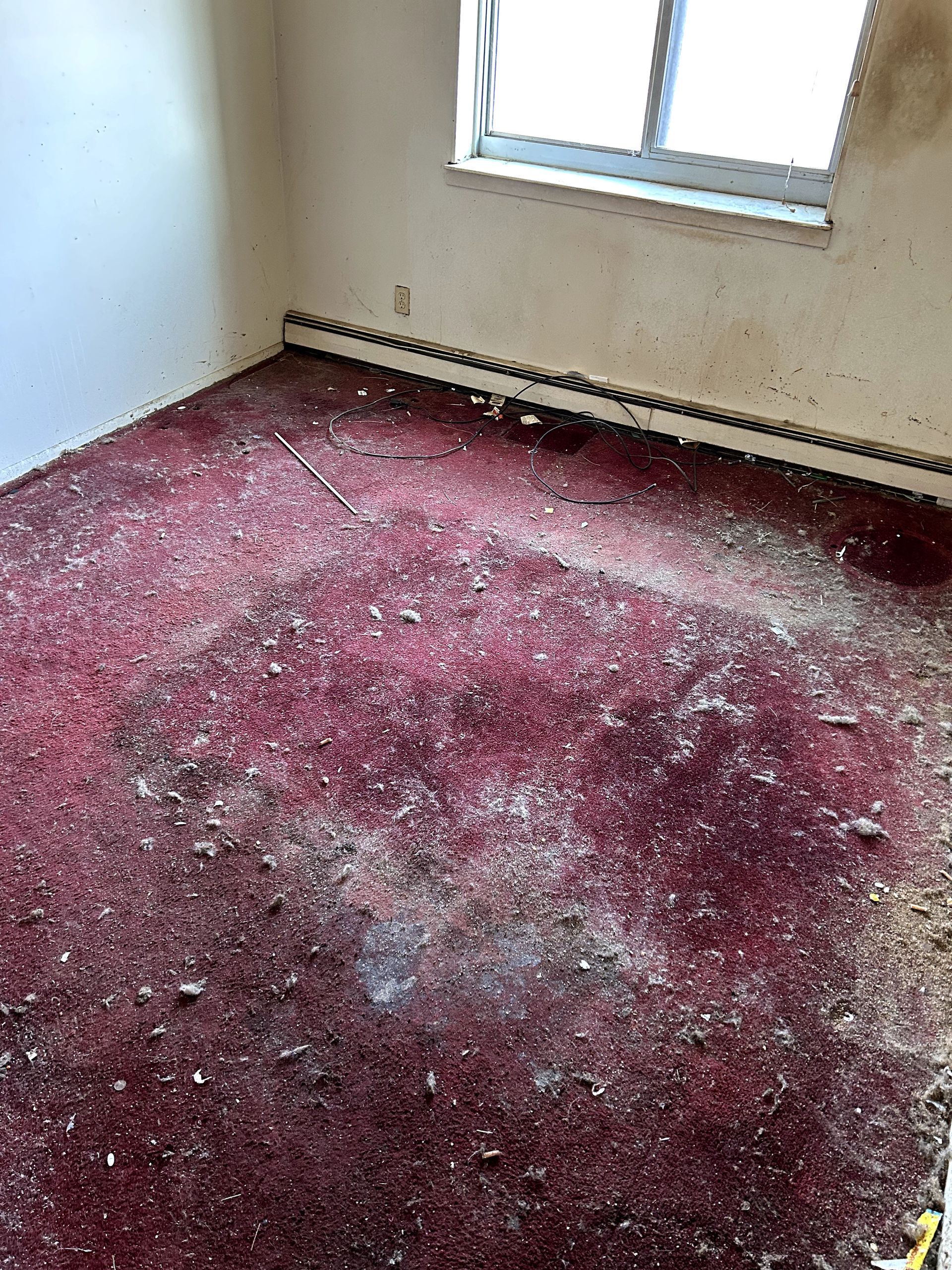 A before shot of a licensed and insured restoration in Ohio by Kingdom Bio Recovery & Restoration