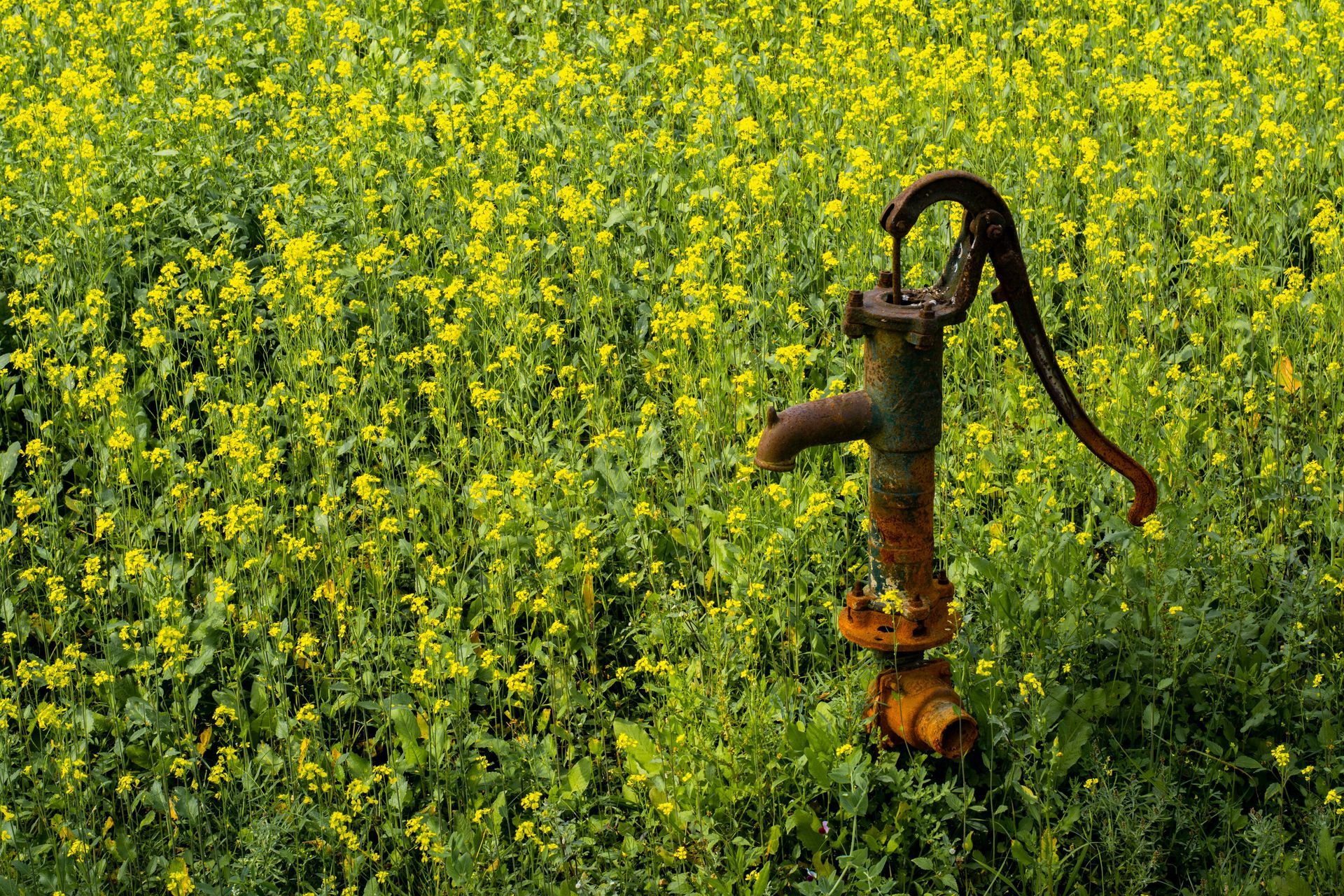 Hand-operated water pump powered by windmill in Puyallup, Washington