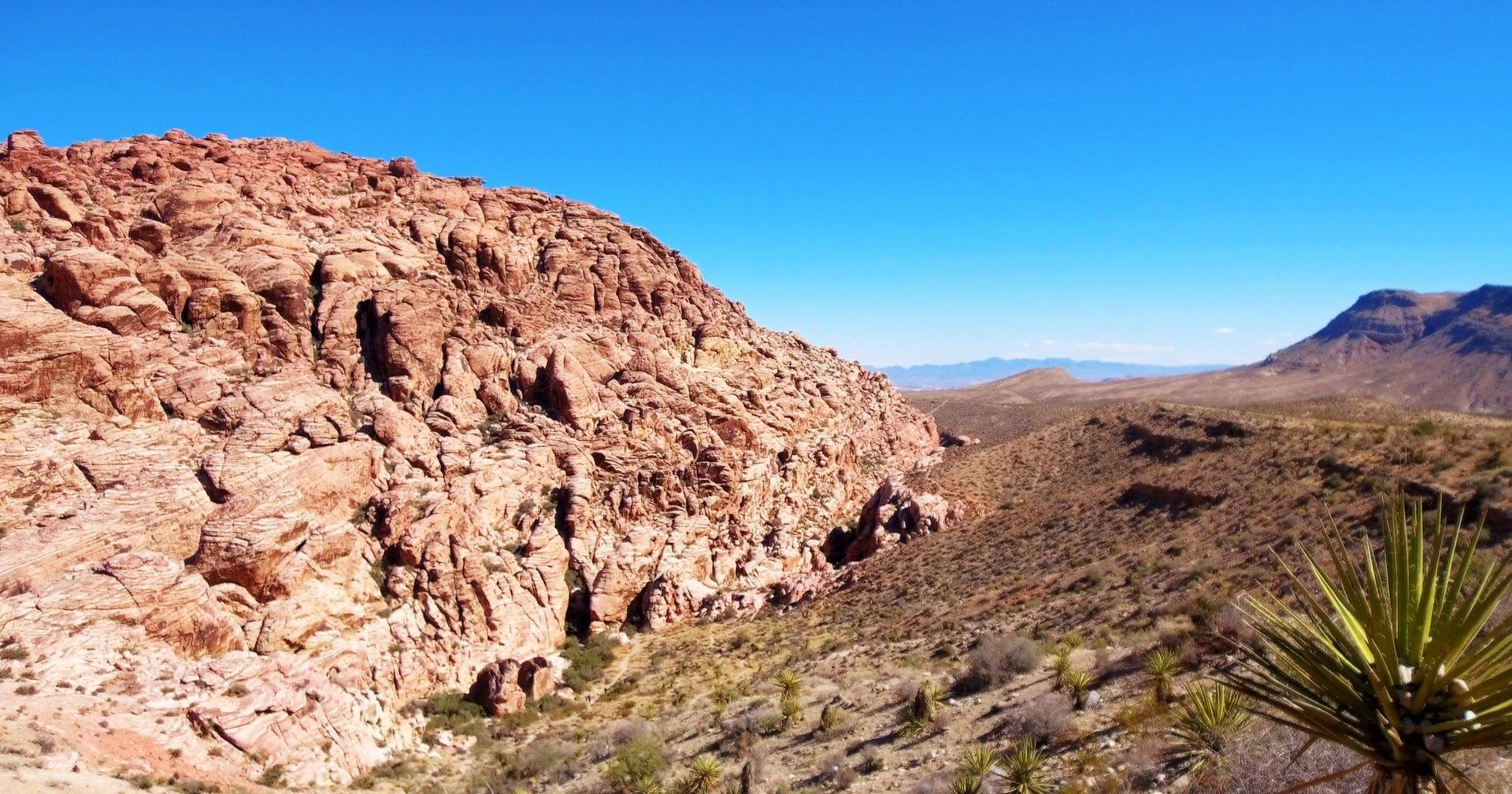 A desert landscape with rocks and mountains in the background