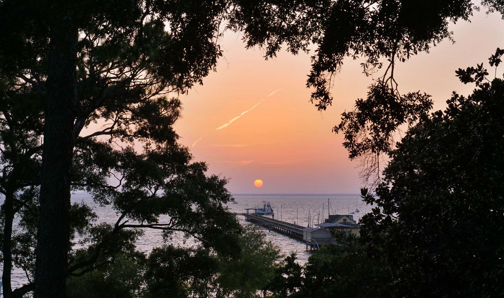 A sunset over a body of water with trees in the foreground