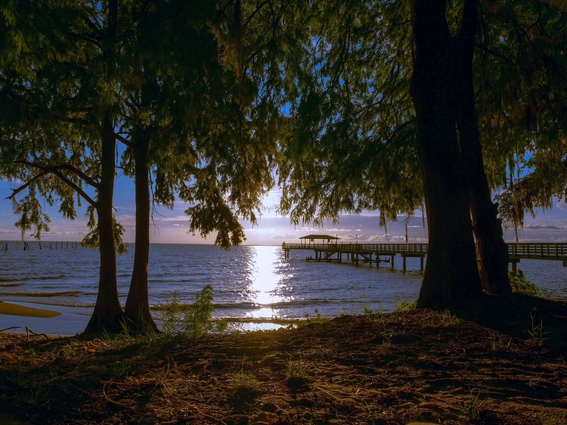 Sun is shining through the trees over the water