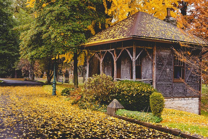 a house with a roof that has yellow leaves on it