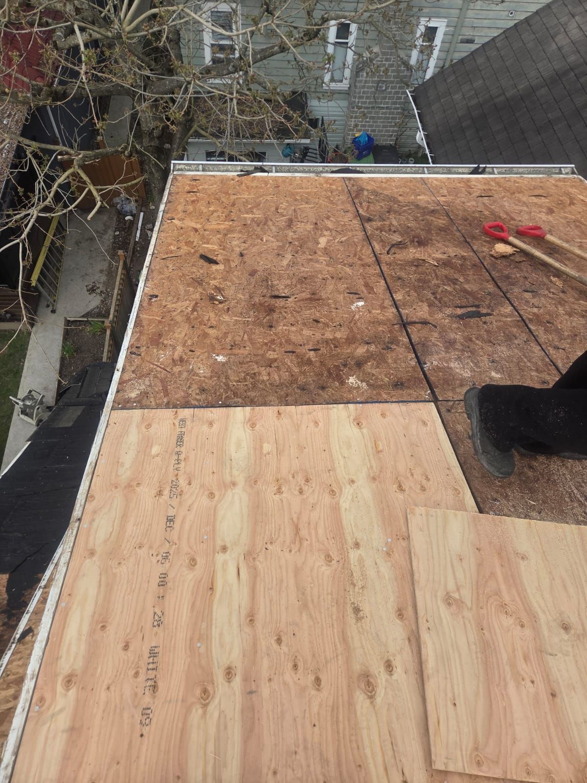 New plywood sheathing installed during deck repair on Vancouver character home roof, Paragon Roofing BC