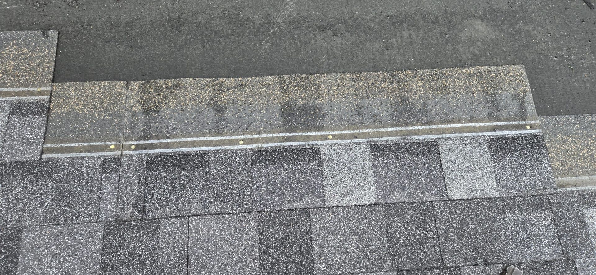 IKO Dynasty shingles nailed exactly per manufacturer specification, chalk line visible, Paragon Roofing BC Vancouver