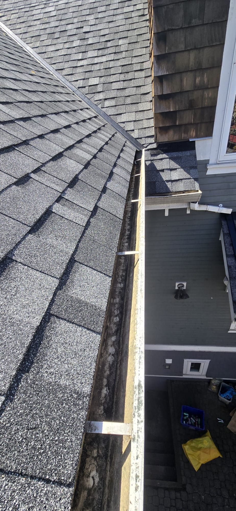 Completed close up of new IKO architectural shingles and clean gutter at Prince Albert St Vancouver, Paragon Roofing BC