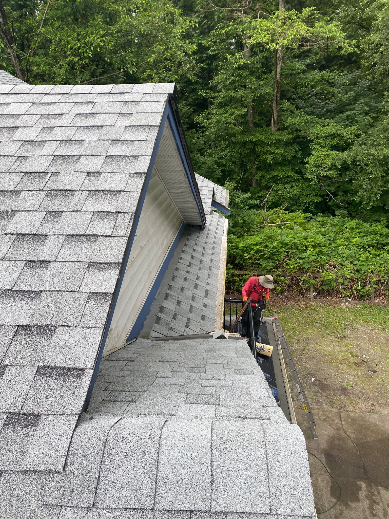 Person in red jacket on a shingled roof beside a wall, near dense green trees.