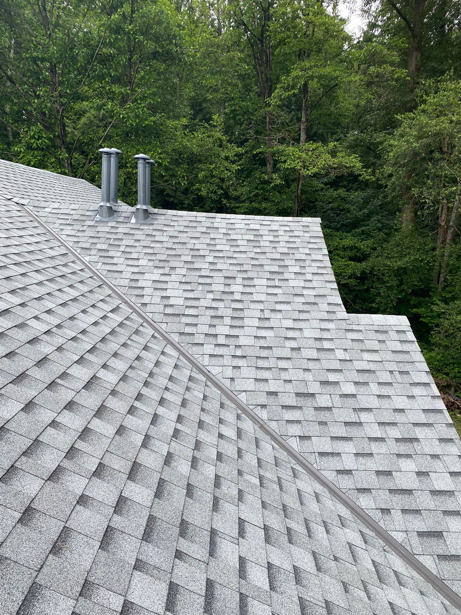 A close up of a roof with trees in the background.