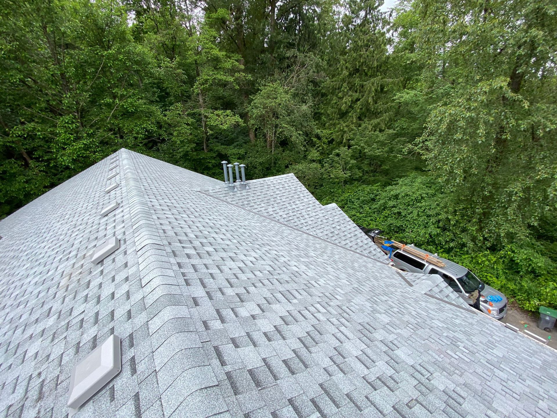 A roof with a ladder on it is surrounded by trees.