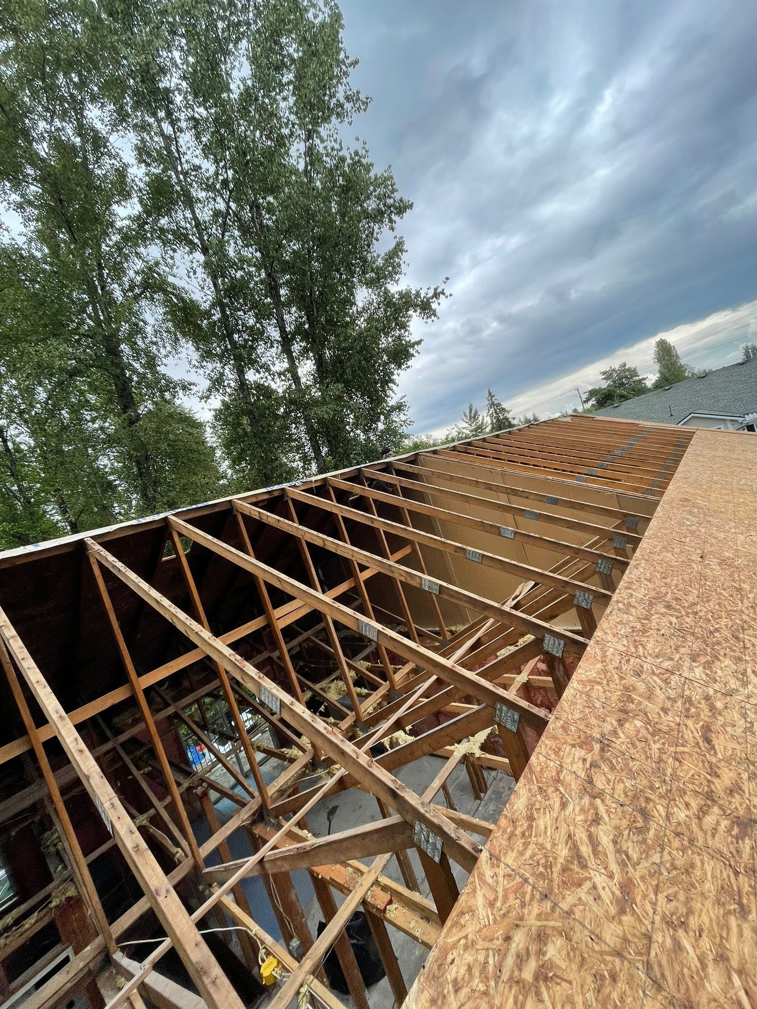 Roof framing under construction with exposed wooden trusses and plywood sheathing beside trees under a cloudy sky