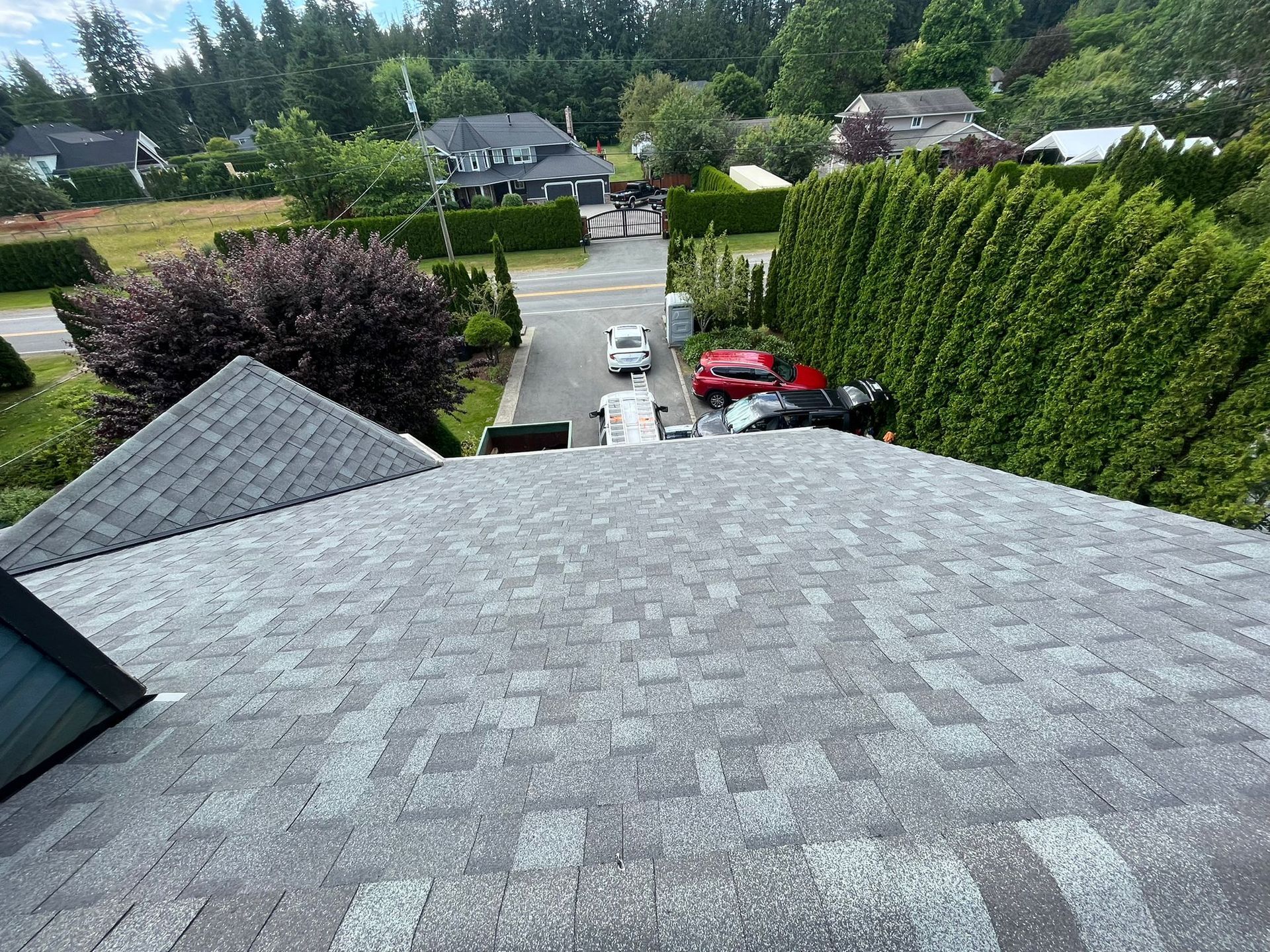 A view from a grey shingled roof looking down onto a residential driveway with parked cars, greenery, and trees.