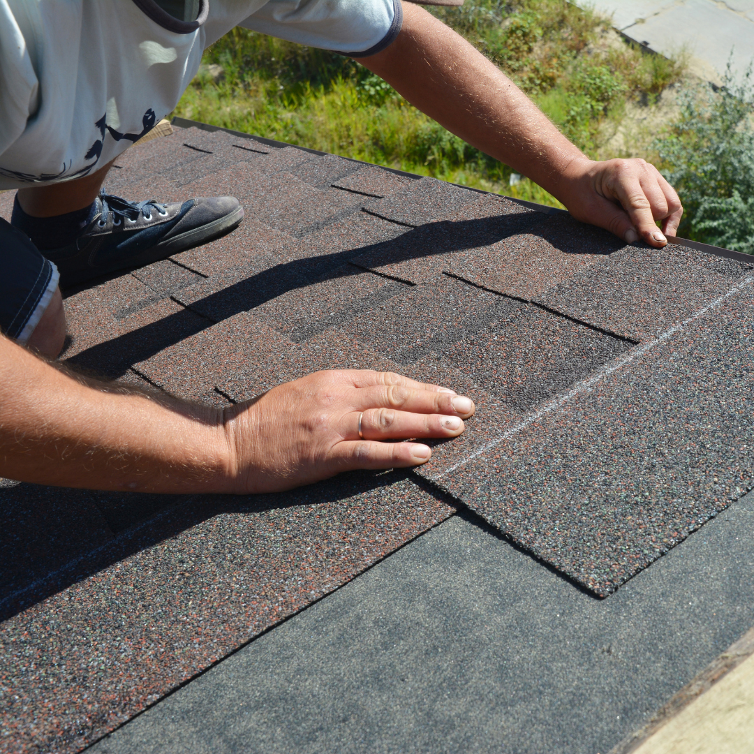 A person installs brown asphalt shingles on a roof, securing a new piece over the protective underlayment.