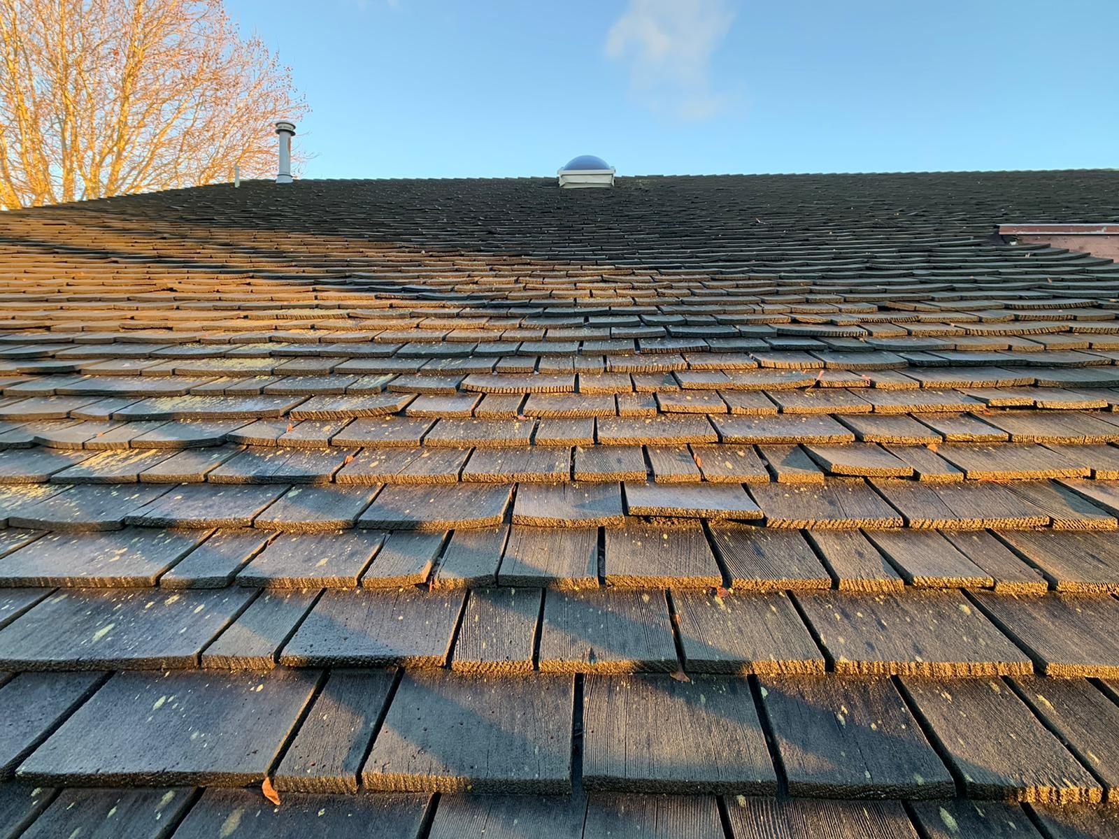 A low-angle view of a weathered wooden shingle roof under a clear blue sky with a small skylight visible at the peak.