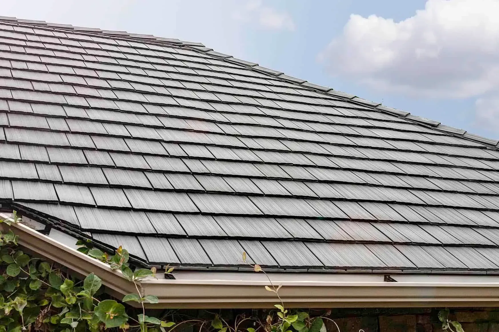 Gray shingle roof on a house with white gutters and some visible green plants.